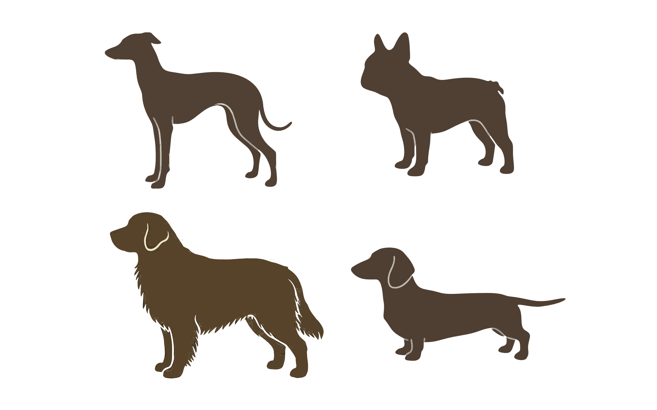 骨格・被毛・犬種差を設計に反映