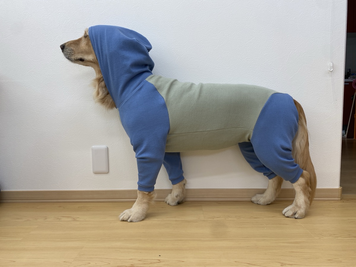 犬服ギャラリー