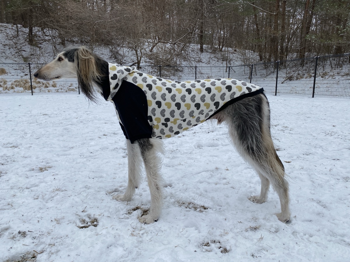 犬服ギャラリー