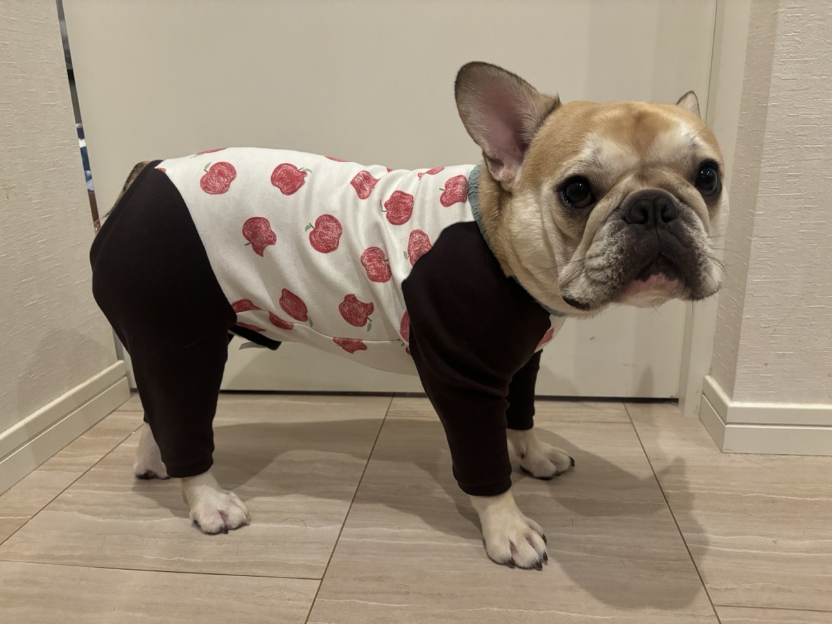 犬服ギャラリー