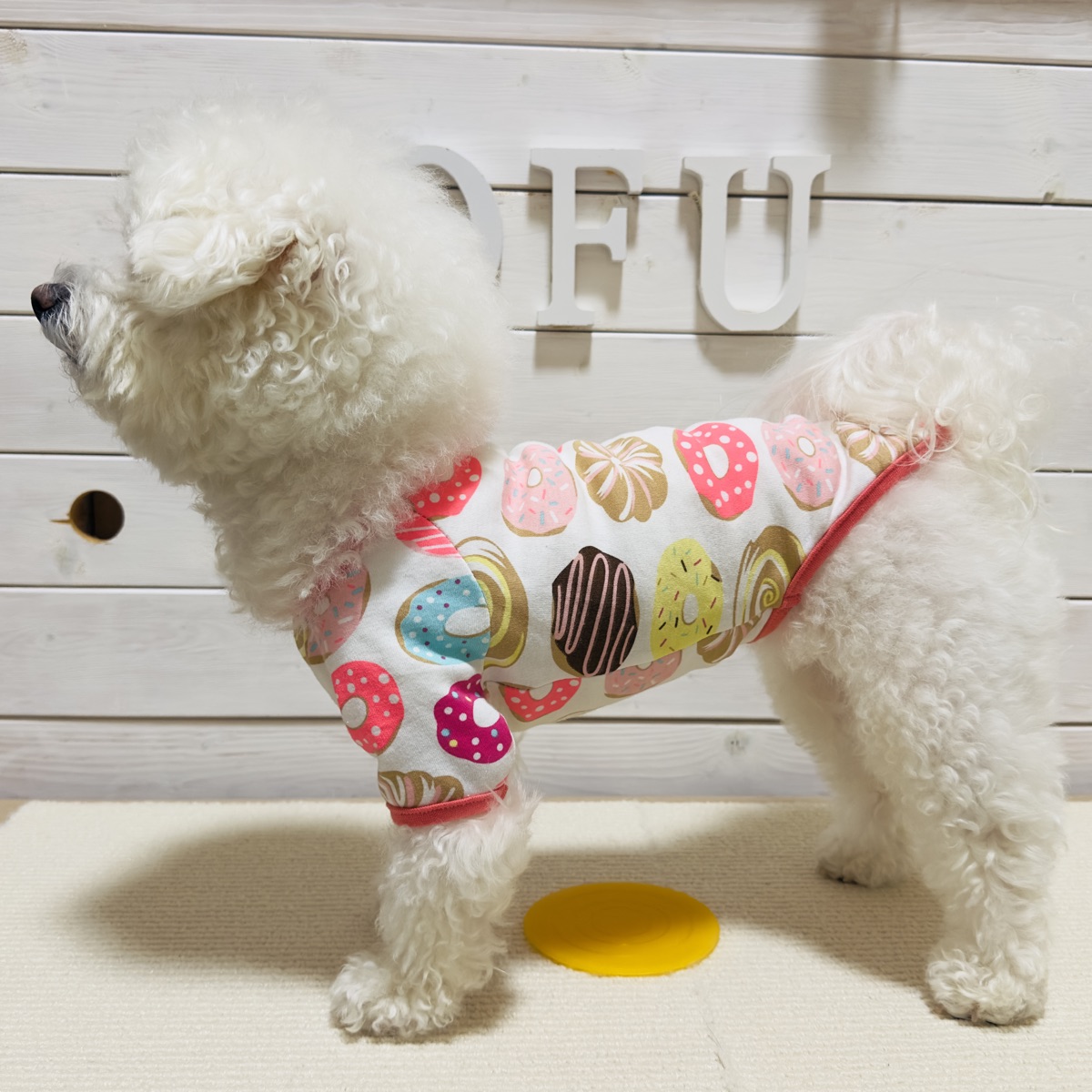 犬服ギャラリー