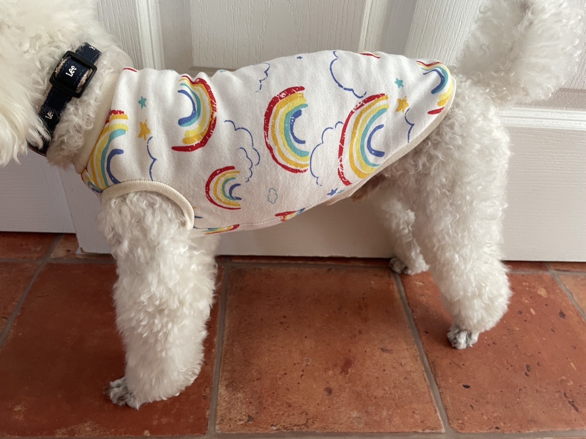 犬服ギャラリー