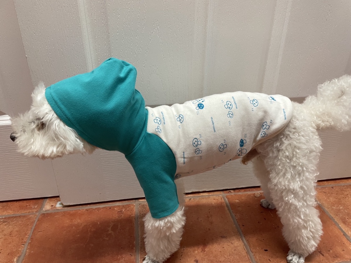 犬服ギャラリー