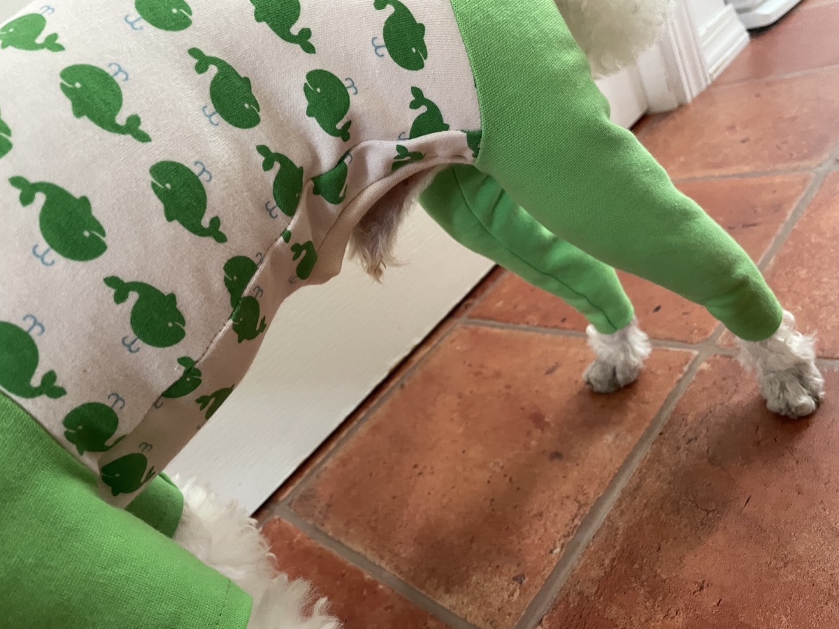 犬服ギャラリー