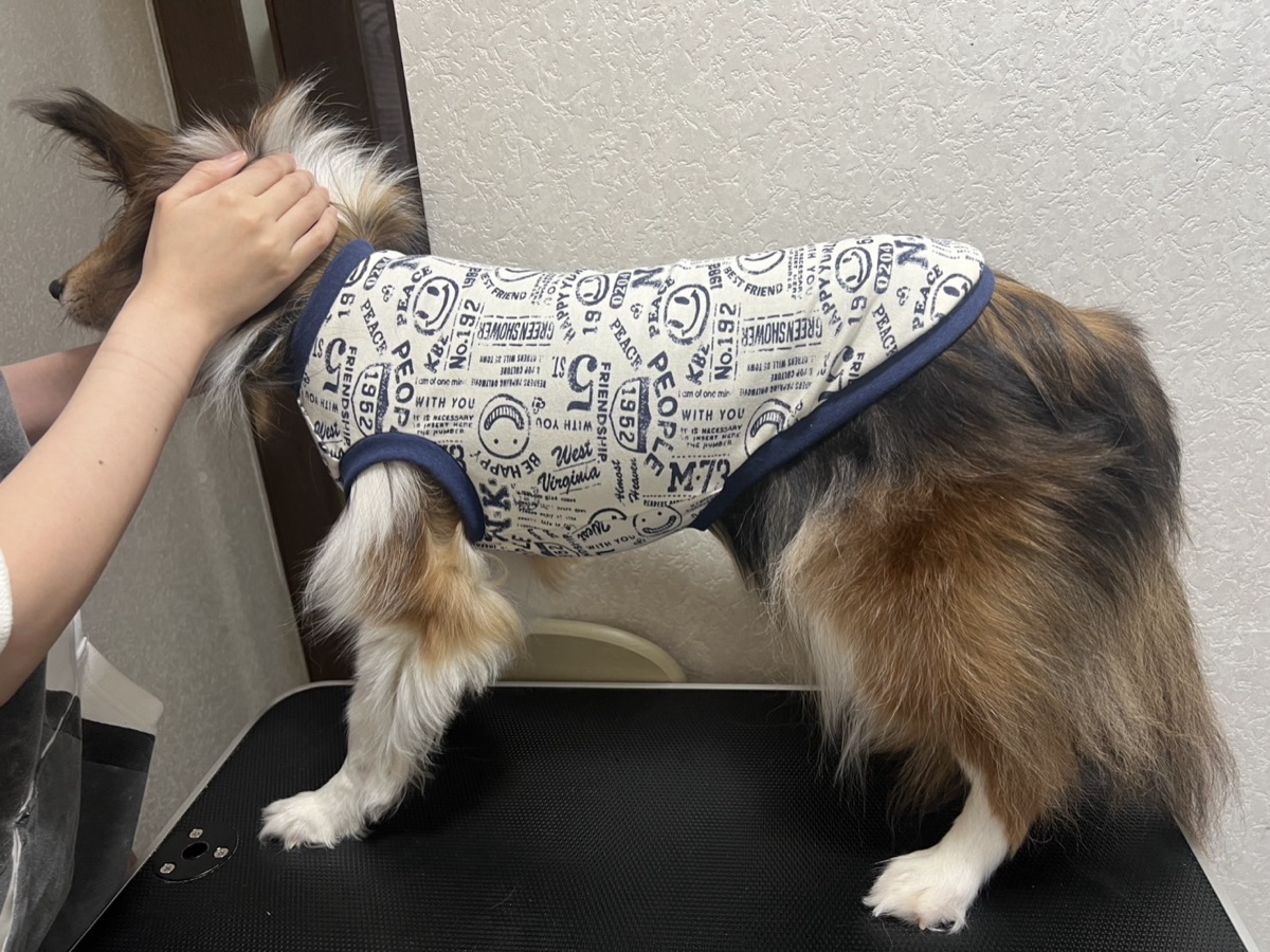 犬服ギャラリー