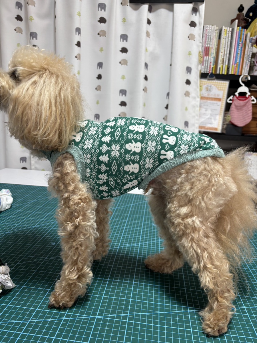 犬服ギャラリー