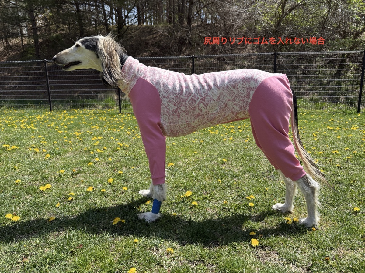 犬服ギャラリー