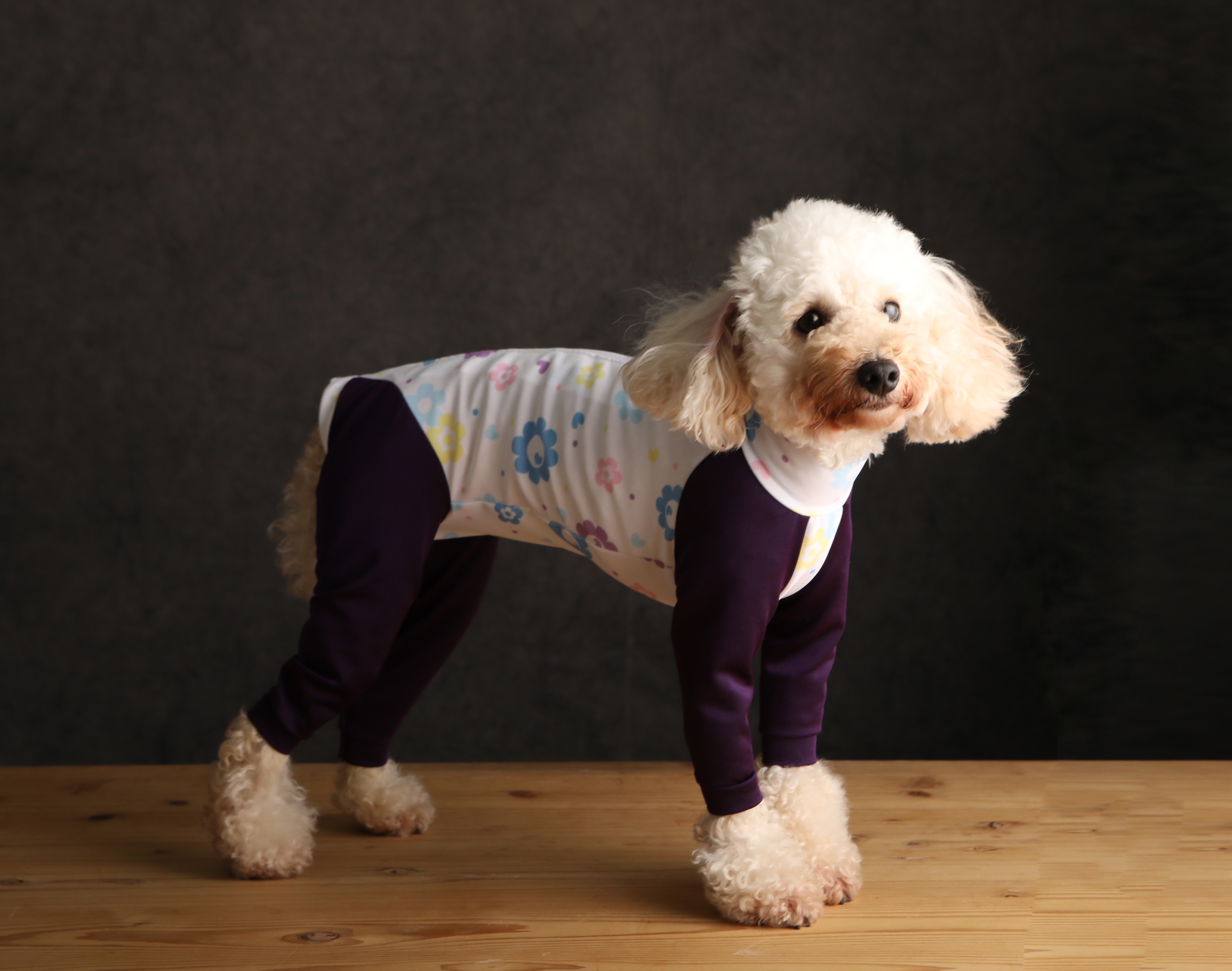 一気にロンパース